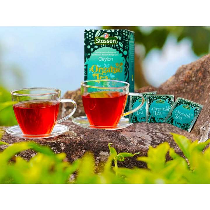 Stassen Organic Black Tea - 25 Bags x 2GM ^USDA Organic Certified ^Pure Ceylon Tea