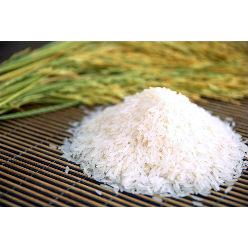PaddyGreen AAA Jasmine Rice 5kg (vacuum pack)