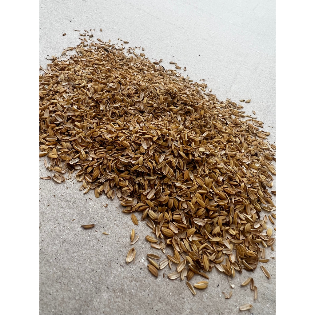 Rice Husk 10 Liters (approx 1.25kg) (Unburnt) for Gardening ^Mix with Soil ^Mulch ^Nesting